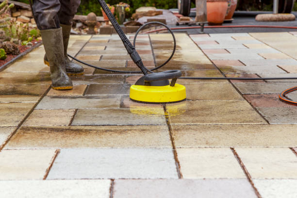 Best Solar Panel Cleaning  in Shinnston, WV