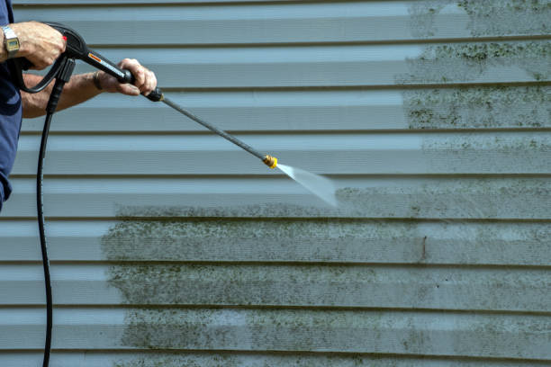 Best Graffiti Removal  in Shinnston, WV